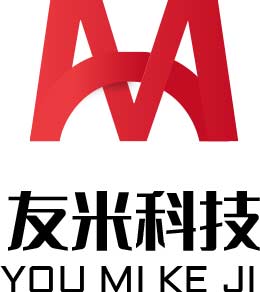 沈阳系统开发